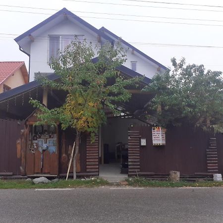 فندق Casa Denisa Vidraru Transfgarasan Căpăţîneni-Ungureni المظهر الخارجي الصورة