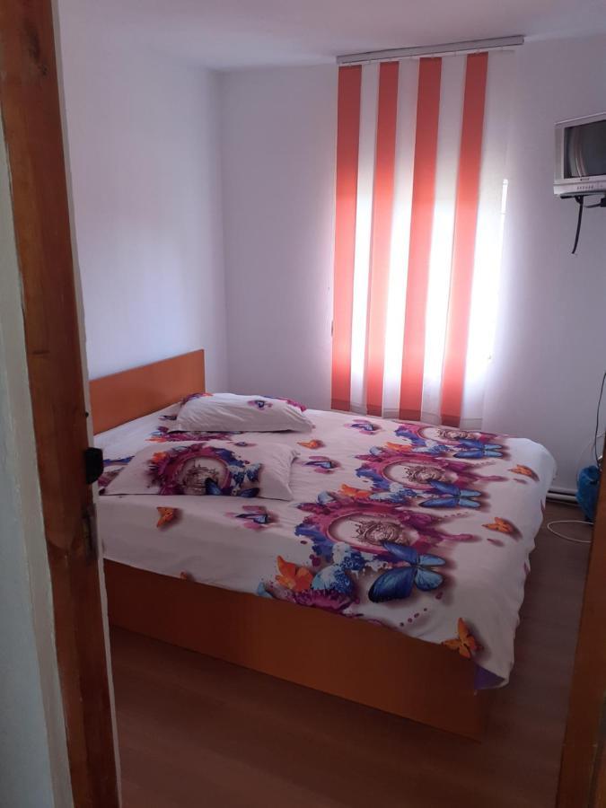 فندق Casa Denisa Vidraru Transfgarasan Căpăţîneni-Ungureni المظهر الخارجي الصورة