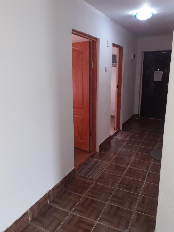 فندق Casa Denisa Vidraru Transfgarasan Căpăţîneni-Ungureni المظهر الخارجي الصورة