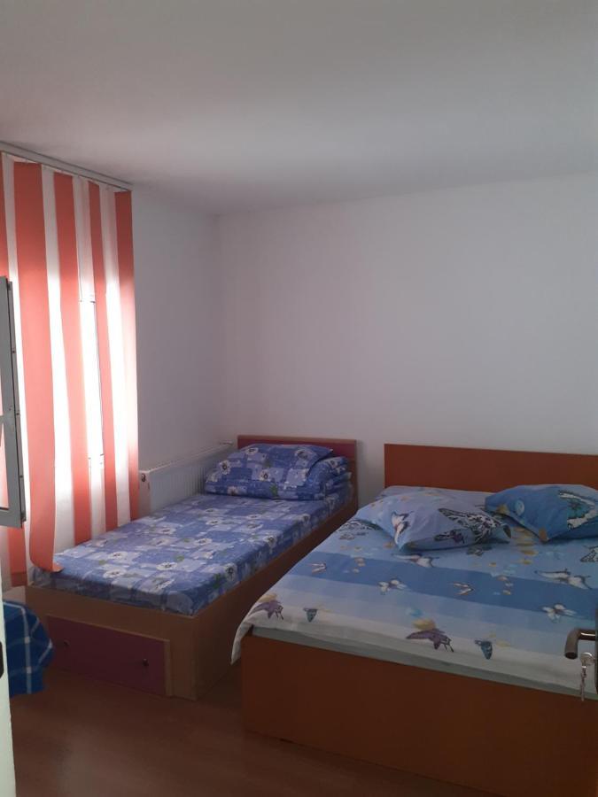 فندق Casa Denisa Vidraru Transfgarasan Căpăţîneni-Ungureni المظهر الخارجي الصورة