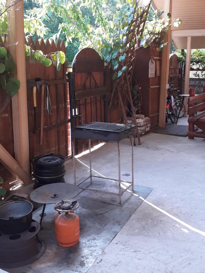 فندق Casa Denisa Vidraru Transfgarasan Căpăţîneni-Ungureni المظهر الخارجي الصورة
