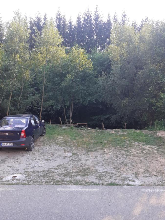 فندق Casa Denisa Vidraru Transfgarasan Căpăţîneni-Ungureni المظهر الخارجي الصورة