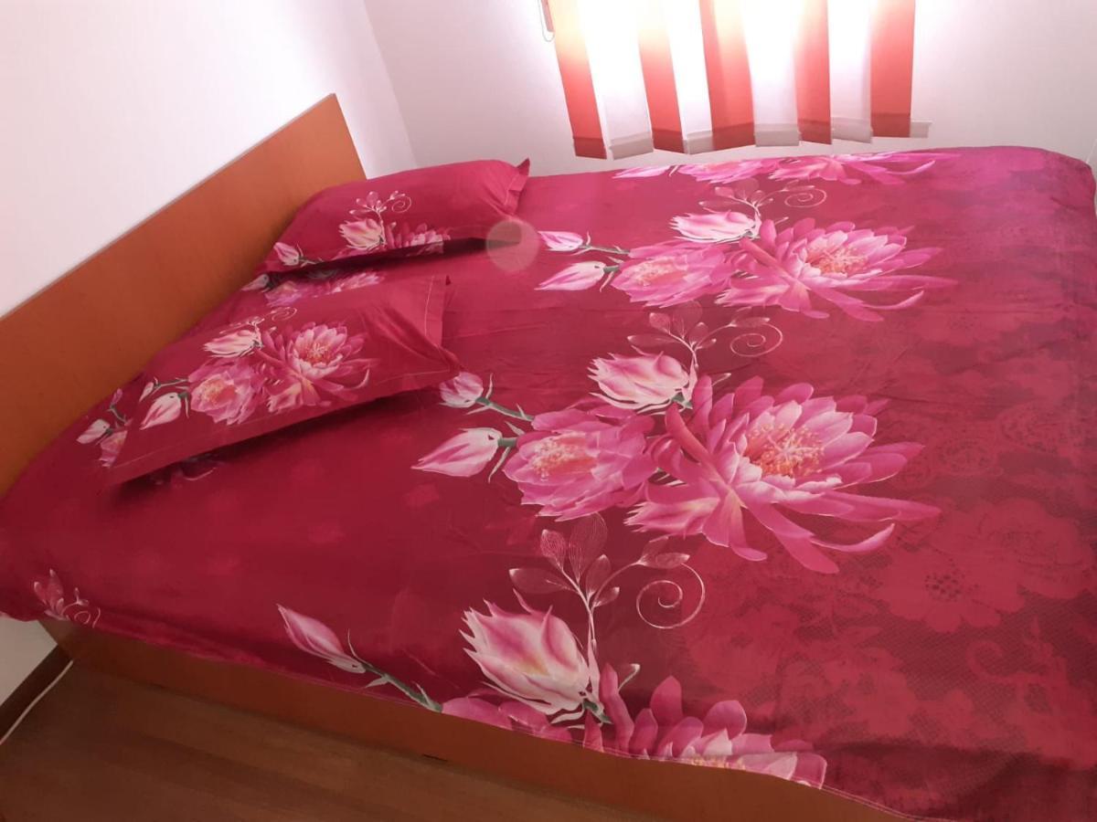 فندق Casa Denisa Vidraru Transfgarasan Căpăţîneni-Ungureni المظهر الخارجي الصورة