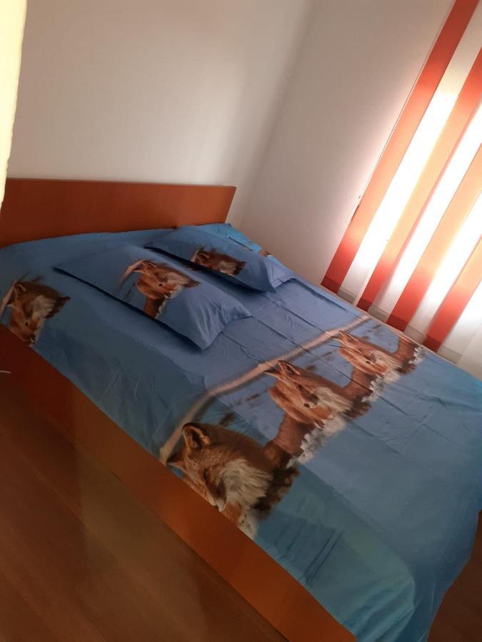 فندق Casa Denisa Vidraru Transfgarasan Căpăţîneni-Ungureni المظهر الخارجي الصورة